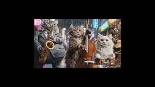 Cats Grooving to Urban Jazz