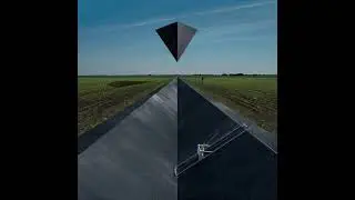Synrise Goose (Action mix)