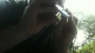 Paper Pocket Siren
