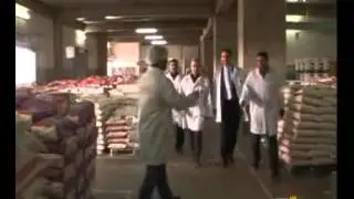 EchoEco    مطاحن الحبوب... عصرنة و كفاءات