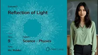 Introduction to Reflection of Light | Class 9 Physics | Reflection of Light