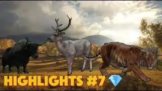 theHunter: COTW Diamonds💎 and Rares Highlights #7 🦌🦆