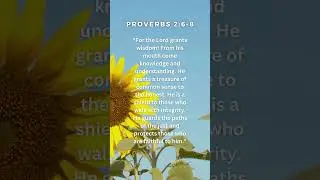 Wisdom Unveiled: Spiritual Discernment. God's Knowledge. #God #love #Jesus #Holyspirit #inspiration