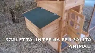 Pollaio per galline ovaiole e animali da cortile modello 