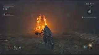 Lords of the Fallen_20251225220453