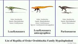 List of Reptilia of Order Ornithischia Family Hypsilophodont tooth australe Thescelosaurus Dan