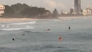 Tappa's Surf Report 20/2/26