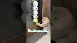 Smart sensor cat toy #cat #bestpetsupplies #petshub