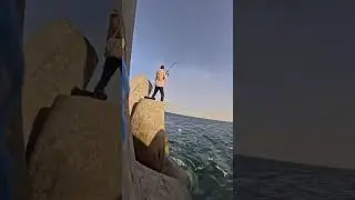 صيد السمك احجام كبيره جر بالرابلة 