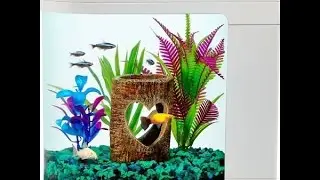 Top Fin Fish Eye Unboxing 2 Gallon Aquarium Comparison/Review