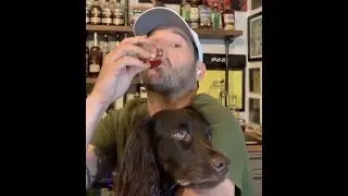 Have you had Boykin whiskey with your Boykin? Broad Branch Distillery | Boykin Spaniel | Whiskey