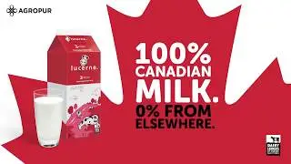Lucerne 100% Canadian Milk