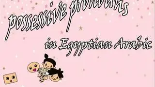 Possessive Pronouns
