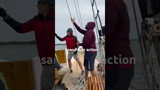 Sailing experience #viral #ytshorts #sailing #youtube