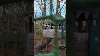 Гринч извлёк мудрость из своих ошибок.