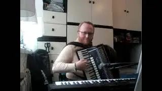 AVSENIK NA GOLICI played by Matej Železnik (Synth & Harmonika) cover