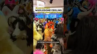 do you love conventions?? FURRY conventions?? #furry #fursuiter #conventions #volunteer