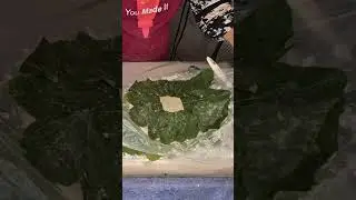 Unique Concrete Leaf Pot with a Base