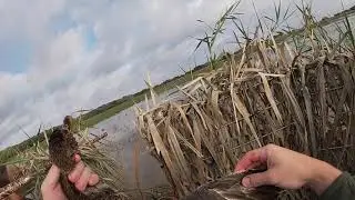 2020 - 2021 Duck Season