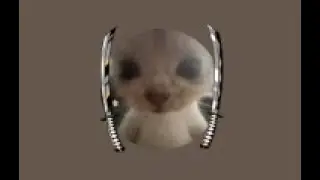 루나뎁그방 5바
