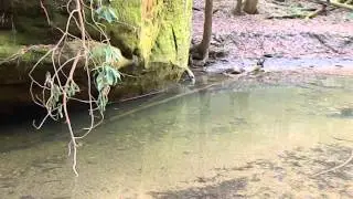 Chimney Top Creek Hike Red River Gorge Photo Cliff Camping Koomer Ridge