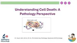 Understanding Cell Death: A Pathology Perspective