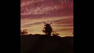 The Flying X Ranch Hands &ndash; Cactus Trails