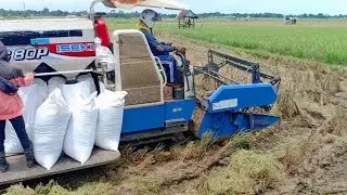 ISEKI Doser Padi Mesin Panen Padi#238