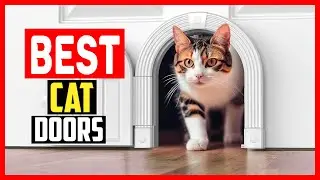 ✅Top 5 Best Cat Doors in 2026