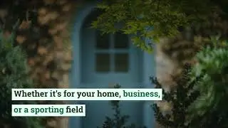 Greenery is great for our health and the environment.  365 Services Group