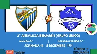 Jornada 14⚽️: MÁLAGA C.F. 🆚 MARBELLA PARAISO C.F.