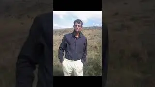 Novak koyu ve kahyalar
