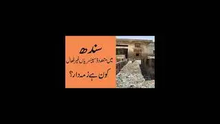 Sindh Health Problems | World Health Day