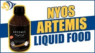 NYOS Artemis Liquid Plankton: What YOU Need to Know