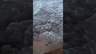GOA MONSOON BEACH DAY 1 OF 2020