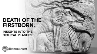 The Death of the Firstborn. Hidden Insights in the Torah