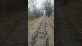 The Kansas City zoo Going backwards on a train ride