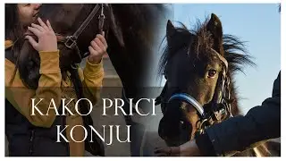 Prilaženje konju