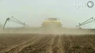 Bringing in the Harvest with the Soybean King