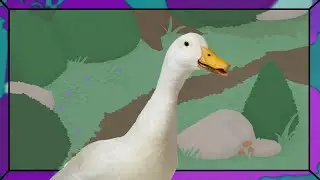 Honk