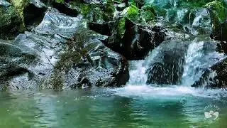 Nighttime River Water Sounds | Peaceful Flowing Stream for Deep Sleep