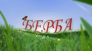 BERBA 18 01 2026