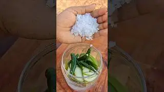 Kerala Style Mango Uppilittathu 🤤 Spicy Mango Pickle
