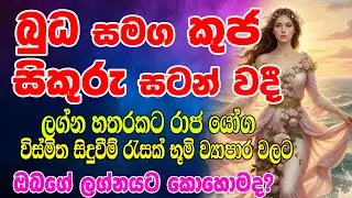 බුධ සමග කුජ සිකුරු සටන් වදී | Ravi Grahaya Makara Rashiyat | The Sun enters Capricorn |Horoscope