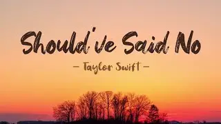 Taylor Swift - Should've Said No (Lyric Video)