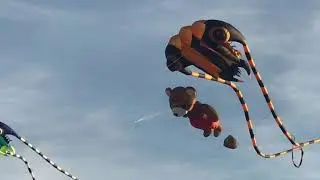 Kite flying in Victoria 2018