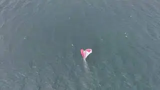WIND FOIL RIDE R71029- 0983