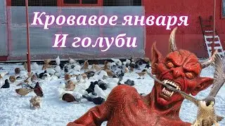 Небесный охотник кровавое января и голуби Heavenly hunter bloody january and doves