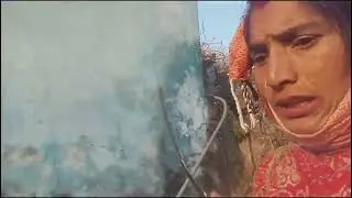 आज मैं गई हरी घास के लिए  सूखी घास का नहीं खा रही गाय🐮🐂  इस चक्कर में थोड़ी हरी घास ले आये आज