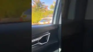 Foreigner goes on a stabbing spree in Dublin